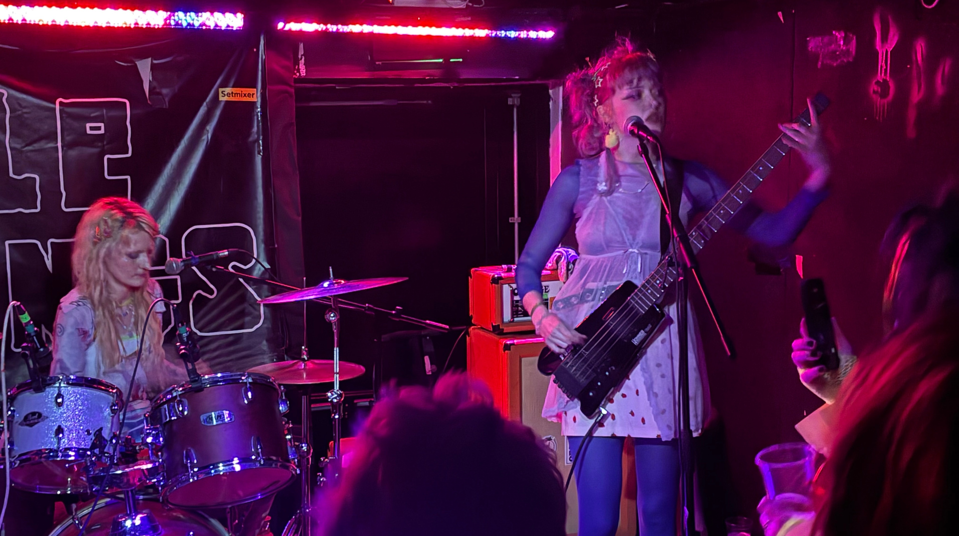 Gaydar punk band