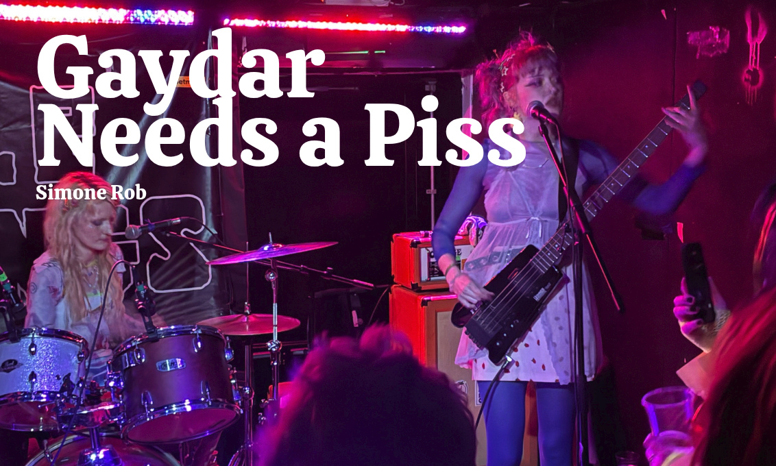 Gaydar punk band